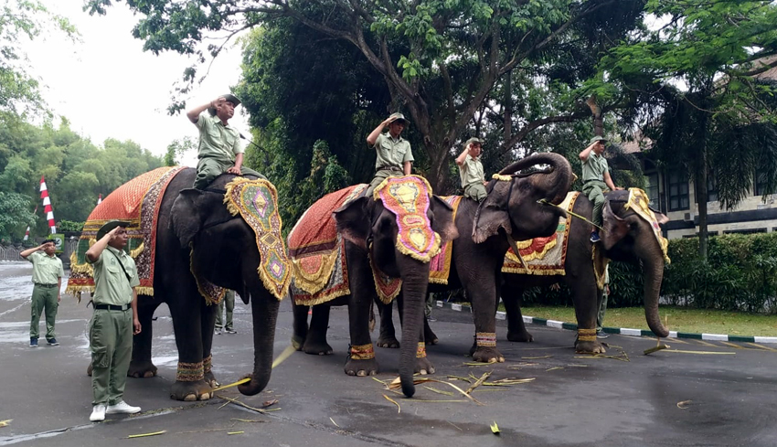 taman safari 17 agustus