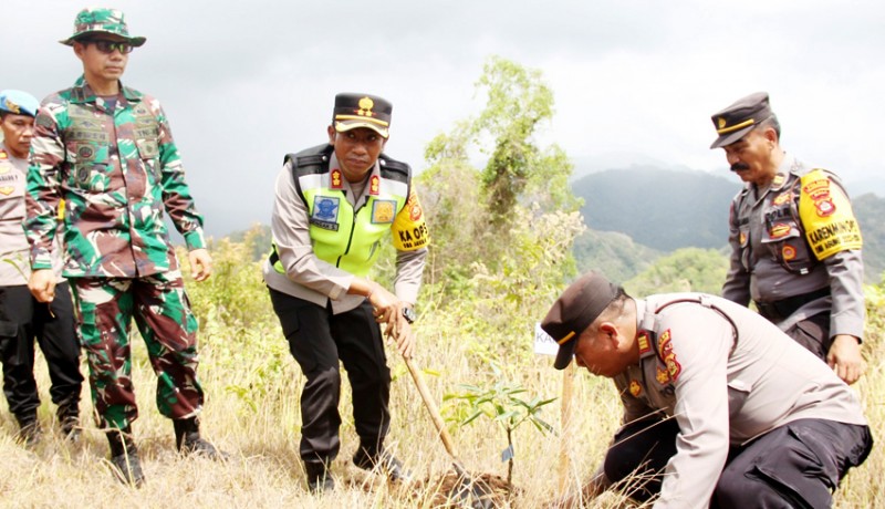 www.nusabali.com-penanaman-pohon-dipusatkan-di-bukit-tengah