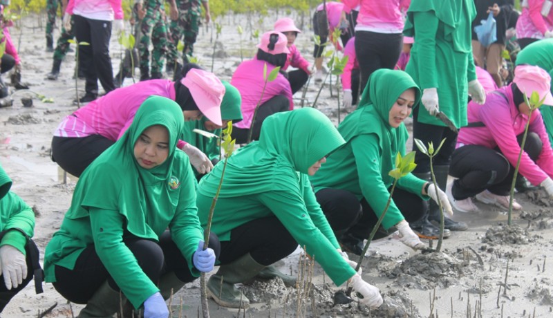 www.nusabali.com-persit-kodam-udayana-tanam-mangrove-di-pantai-benoa