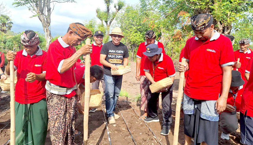 www.nusabali.com-distan-libatkan-24-poktan-tanam-kacang-tanah-96-ha