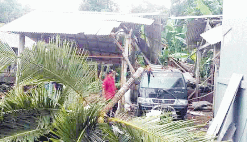 www.nusabali.com-mobil-dan-kandang-babi-rusak-tertimpa-pohon-kelapa