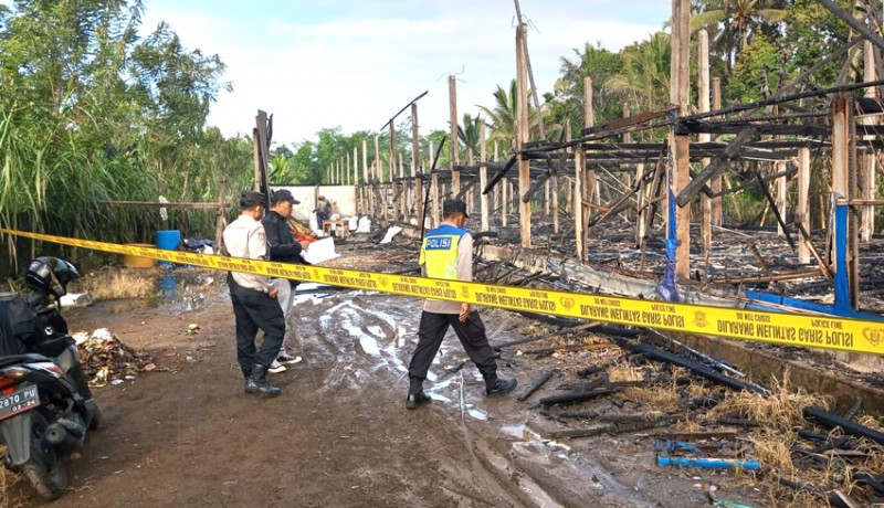 www.nusabali.com-kandang-ayam-terbakar-kerugian-rp-1-miliar