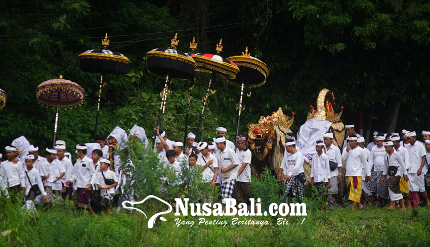 www.nusabali.com-nyejer-selama-42-hari-ada-ritual-pemangkalan-setiap-rahina-kliwon