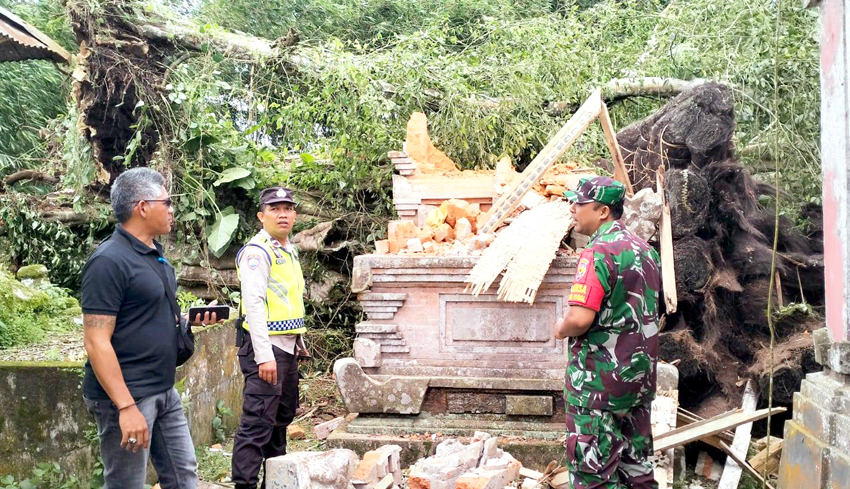 Sejumlah Pohon Tumbang ‘kepung Bangli