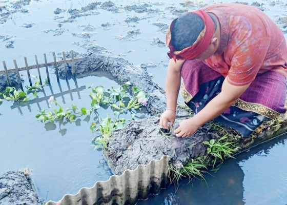 Nusabali.com - subak-bengkel-resmi-masuk-nominasi-unesco