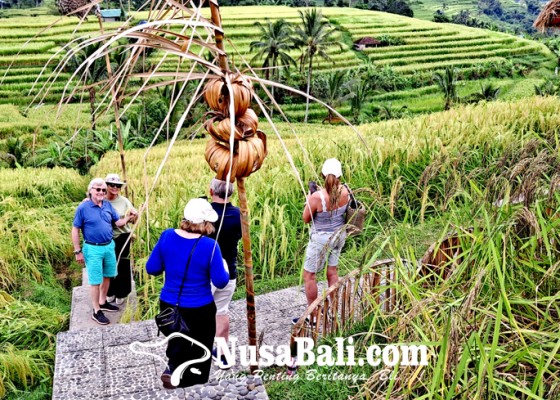 Nusabali.com - tahun-2025-subak-jatiluwih-terapkan-sistem-organik