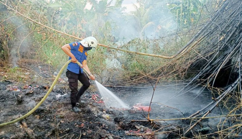 www.nusabali.com-13-desa-di-buleleng-rawan-kebakaran-hutan