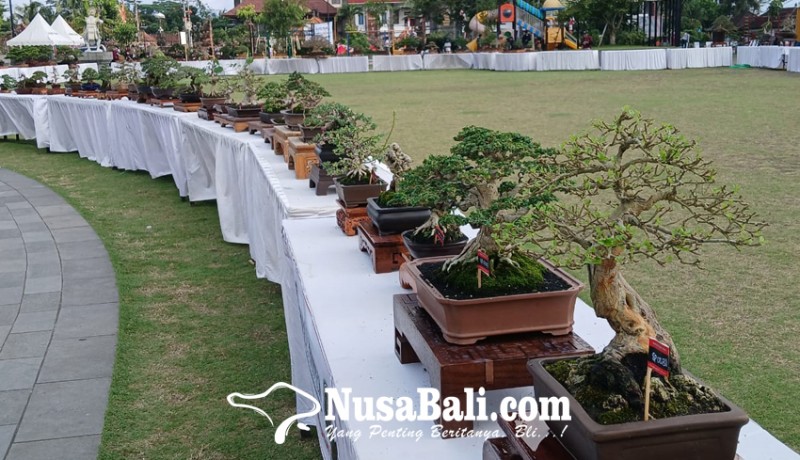 www.nusabali.com-ratusan-bonsai-ramaikan-pamnas-di-bangli