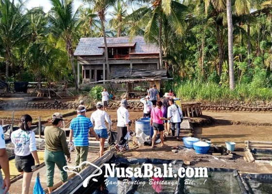 Nusabali.com - desa-les-masuk-50-besar-adwi-2024