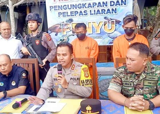 Nusabali.com - penyelundup-penyu-diringkus-polisi