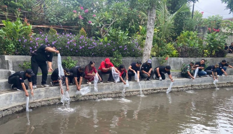 www.nusabali.com-lpm-kelurahan-kesiman-gelar-penebaran-bibit-ikan-di-tukad-lila-ulangun