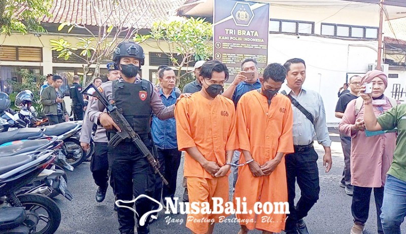 www.nusabali.com-polisi-buru-bos-penyelundup-penyu