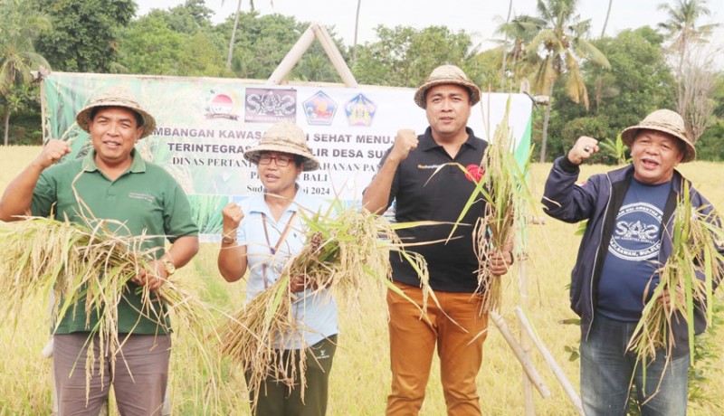 www.nusabali.com-subak-getih-desa-sudaji-disiapkan-jadi-produser-padi-sehat