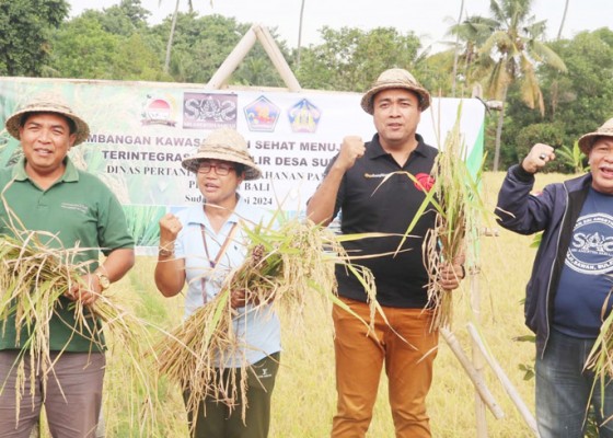 Nusabali.com - subak-getih-desa-sudaji-disiapkan-jadi-produser-padi-sehat