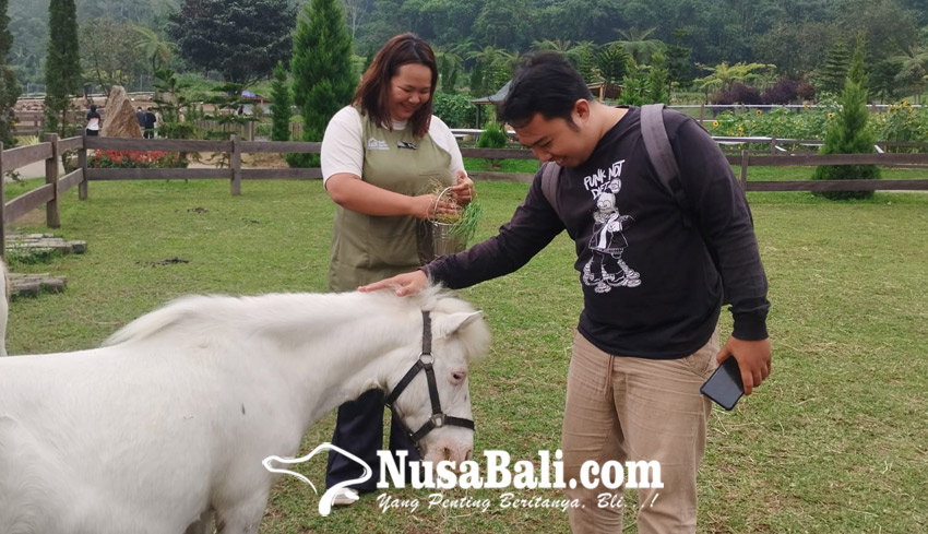 www.nusabali.com-bali-farm-house-wisata-edukasi-baru-di-desa-pancasari-kecamatan-sukasada-buleleng