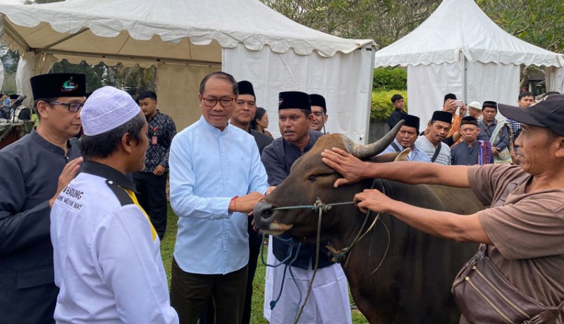 www.nusabali.com-hari-raya-kurban-badung-serahkan-1-ekor-sapi-dan-4-ekor-kambing