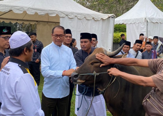 Nusabali.com - hari-raya-kurban-badung-serahkan-1-ekor-sapi-dan-4-ekor-kambing