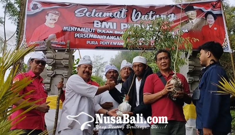 www.nusabali.com-bmi-buleleng-hijaukan-puncak-landep-dengan-pohon-langka