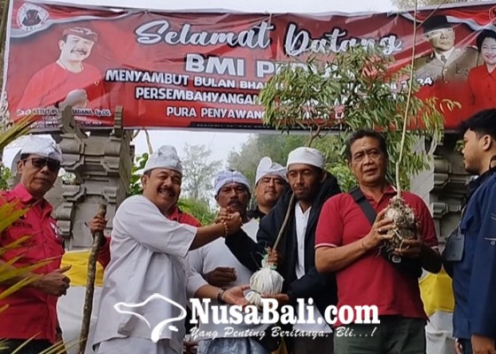 Nusabali.com - bmi-buleleng-hijaukan-puncak-landep-dengan-pohon-langka