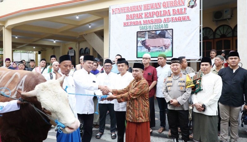 www.nusabali.com-kapolda-dan-kapolresta-kompak-kurban-sapi