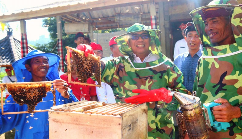www.nusabali.com-ngantor-di-selabih-bupati-sanjaya-angkat-potensi-lebah-madu
