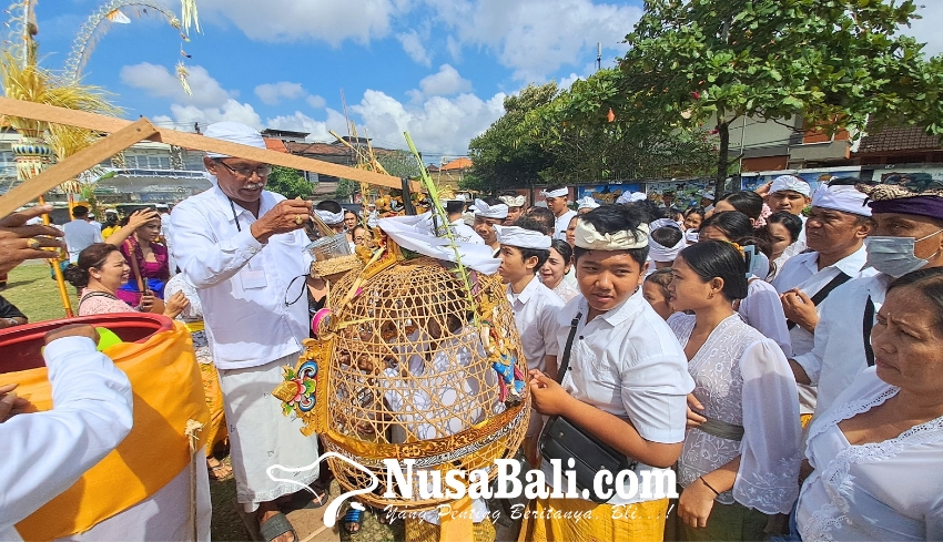 www.nusabali.com-585-warga-pemecutan-kaja-mabayuh-di-tumpek-wayang-langsungkan-26-jenis-babayuhan-oton-madurgama-dan-sapuh-leger