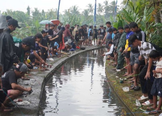 Nusabali.com - semangat-memancing-tak-surut-diterjang-hujan-di-banjar-bengkel