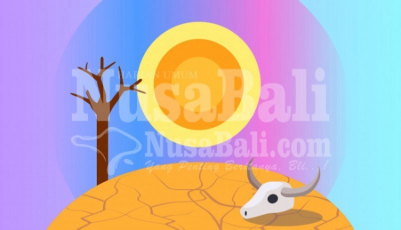 www.nusabali.com-masuk-musim-kemarau-petani-diajurkan-tanam-hortikultura