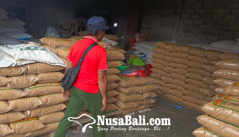 www.nusabali.com-537-anggota-subak-di-duda-kembali-terima-bantuan-bibit-padi