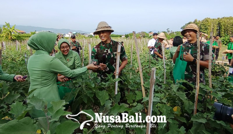 www.nusabali.com-kolaborasi-pemkab-buleleng-dan-tni-wujudkan-ketahanan-pangan