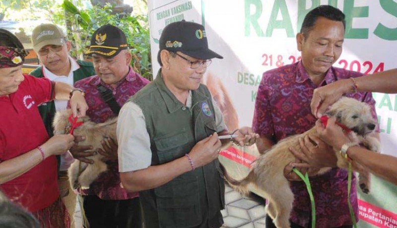 www.nusabali.com-cakupan-vaksinasi-rabies-di-bali-56-persen