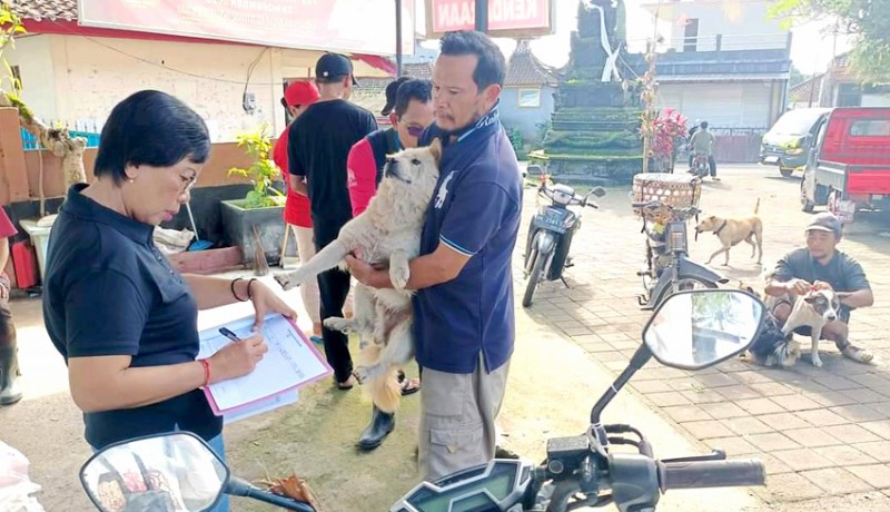 www.nusabali.com-gigitan-anjing-rabies-di-tabanan-tambah