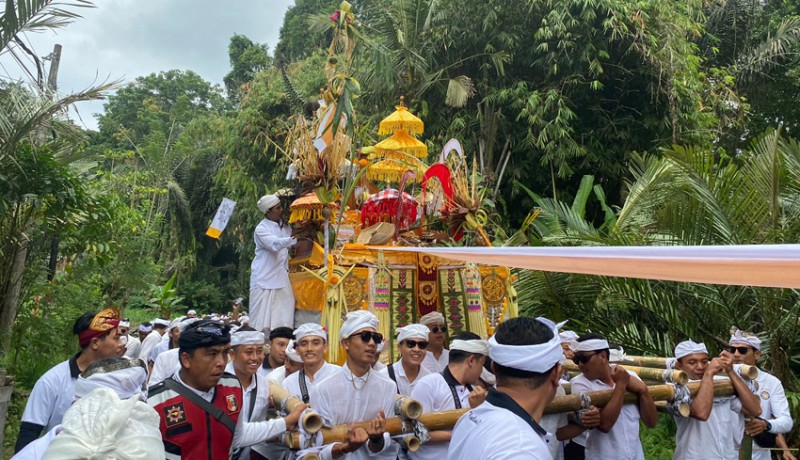 www.nusabali.com-subak-gede-buahan-gianyar-gelar-ritual-nyelung-yang-berlangsung-setiap-10-tahun-sekali