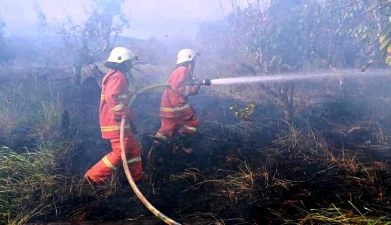 www.nusabali.com-2-ha-lahan-perumda-bali-terbakar