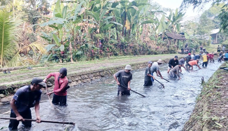 www.nusabali.com-sampah-menumpuk-krama-pagi-bersihkan-sungai