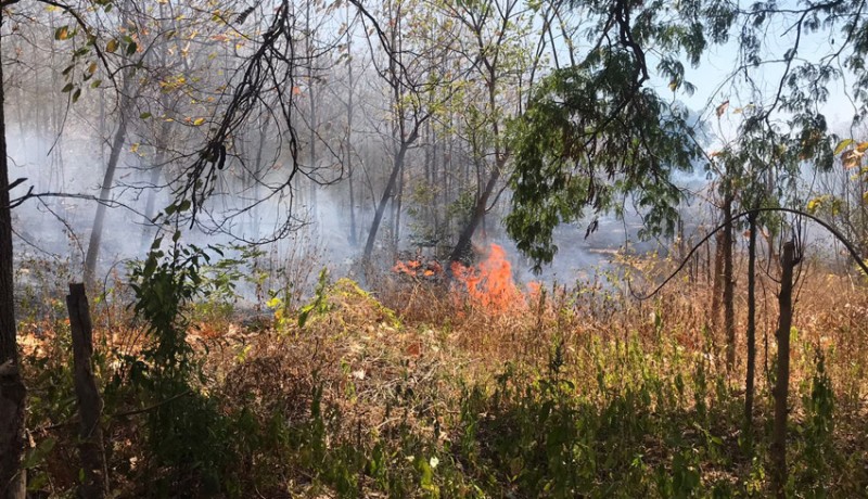 www.nusabali.com-lahan-kosong-di-desa-uma-anyar-terbakar-diduga-akibat-pembakaran-sampah