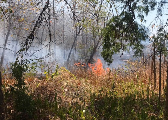 Nusabali.com - lahan-kosong-di-desa-uma-anyar-terbakar-diduga-akibat-pembakaran-sampah