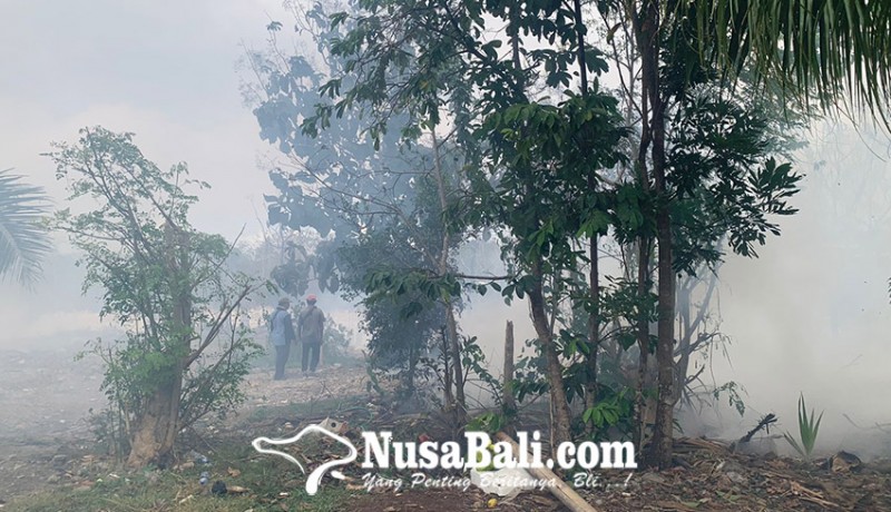 www.nusabali.com-lahan-kosong-di-ungasan-terbakar