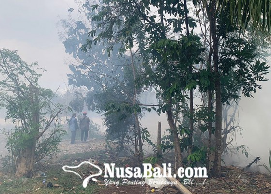 Nusabali.com - lahan-kosong-di-ungasan-terbakar