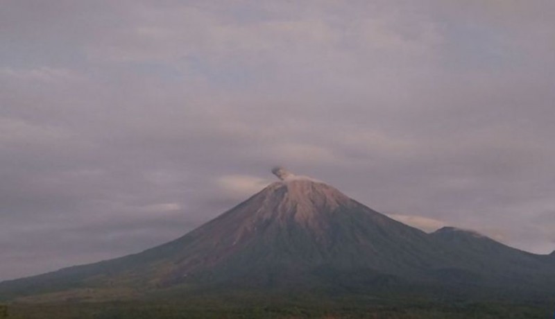 www.nusabali.com-gunung-semeru-kembali-erupsi-letusan-capai-700-meter