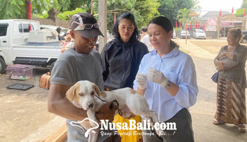 www.nusabali.com-hingga-juli-2024-cakupan-vaksinasi-rabies-di-denpasar-capai-60772-hpr