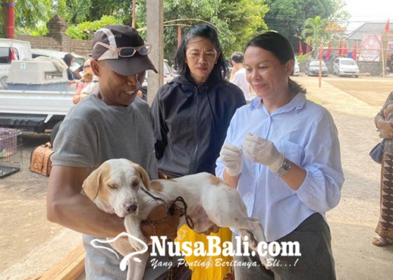 Nusabali.com - hingga-juli-2024-cakupan-vaksinasi-rabies-di-denpasar-capai-60772-hpr