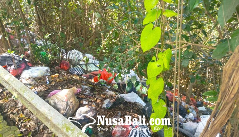 www.nusabali.com-sampah-di-bawah-jembatan-kembar-tebar-bau-busuk