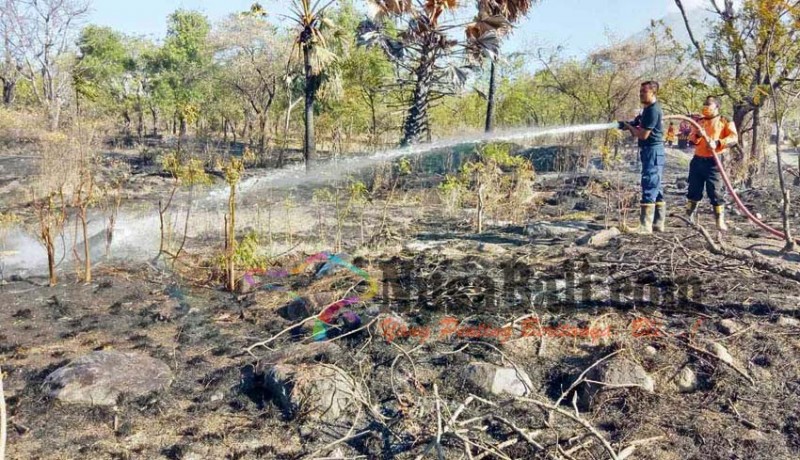 www.nusabali.com-lahan-6-hektare-milik-10-warga-terbakar