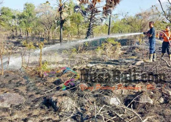 Nusabali.com - lahan-6-hektare-milik-10-warga-terbakar