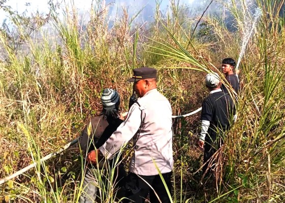 Nusabali.com - lahan-warga-dan-laba-pura-di-songan-terbakar