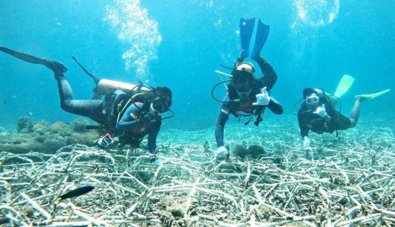 www.nusabali.com-ctc-kembangkan-kawasan-konservasi-laut-ri-dukung-ekonomi-biru