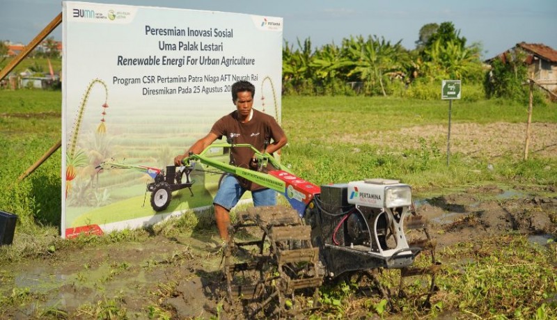 www.nusabali.com-petani-subak-sembung-manfaatkan-traktor-dan-mesin-perontok-padi-ramah-lingkungan