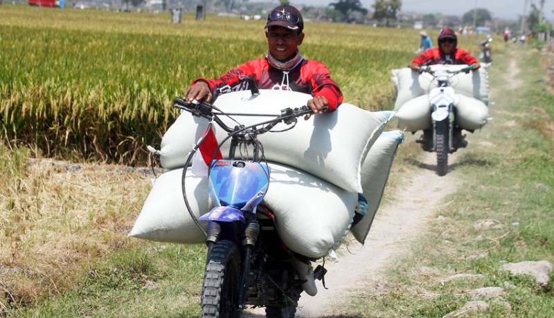 www.nusabali.com-jasa-ojek-pengangkut-gabah-di-ngawi