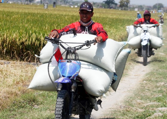 Nusabali.com - jasa-ojek-pengangkut-gabah-di-ngawi